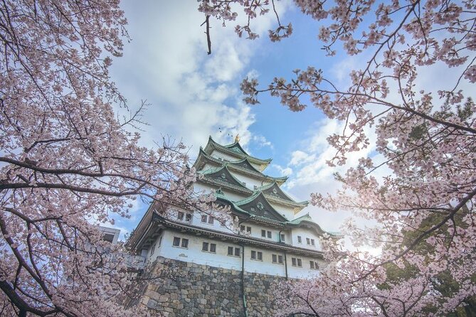 Private & Unique Nagoya Cherry Blossom Sakura Experience - Itinerary and Duration