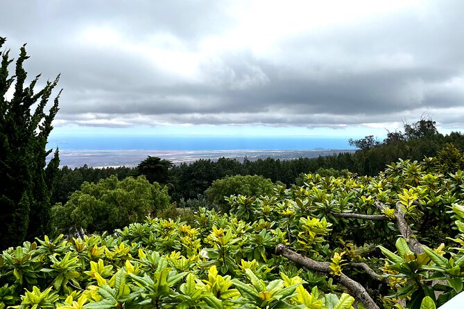 Private Upcountry Farm Tour on Maui - Whats Included in the Experience