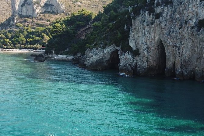 Private VIP Tour The Seven Beaches - Inclusions and Amenities