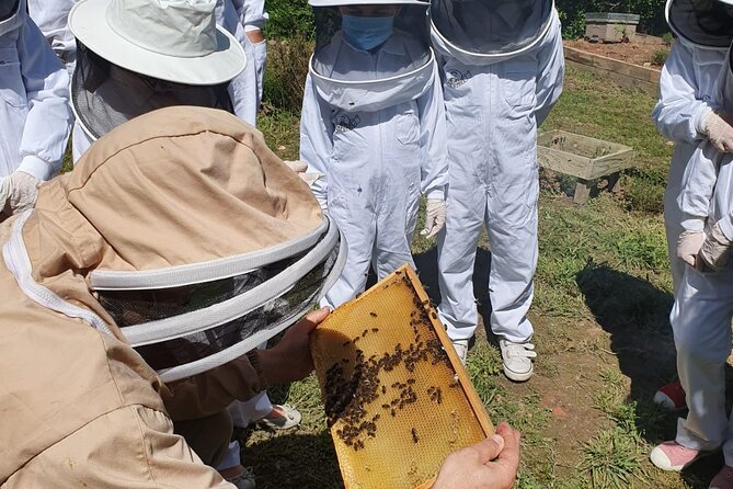 Private Visit to the Bees and Tasting in Ventosa, La Rioja - Included Amenities