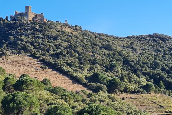 Private Walk In The Vineyards Of Collioure With Wine Tasting - Inclusions and Exclusions