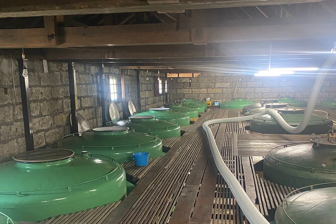 Private Walking and Wine Tasting Sake Brewery Tour in Ibaraki - Meeting Point and Transportation