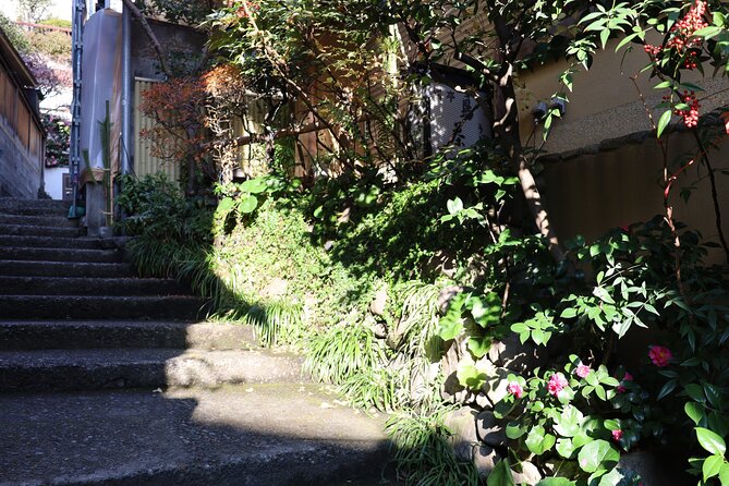 Private Walking Tour: The Little Kyoto of Tokyo, Kagurazaka - Architectural Gems of Kagurazaka