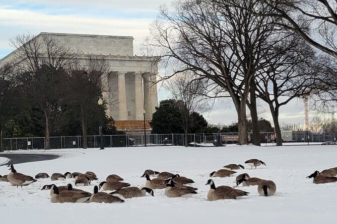 Private Washington DC Tour With Changing of the Guard Ceremony - Inclusions and Amenities