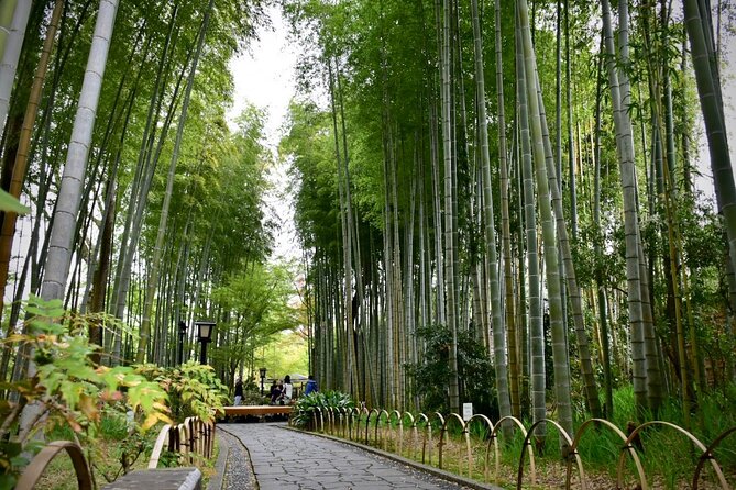 Private West IZU Uncovered Tour Cave Cruise and Monkey Encounter - Inclusions