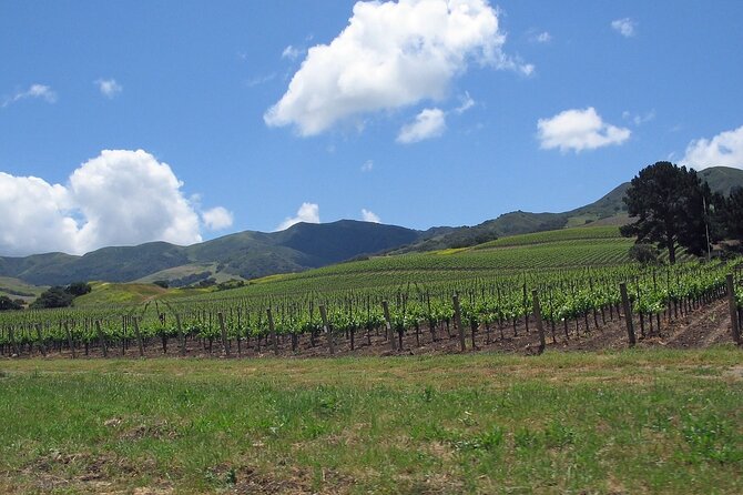 Private Wine Country Tour in Uncork Santa Barbara - What to Expect on Your Private Tour