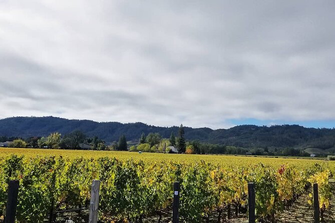 Private Wine Tour of Napa Valley - Inclusions of the Tour Package