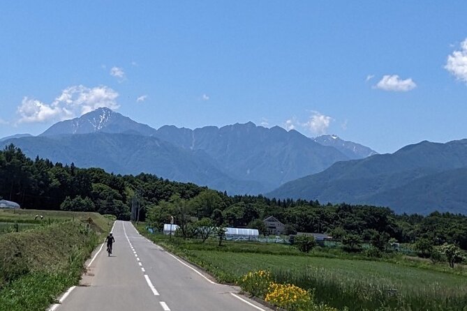 Private Yatsugatake Highland Guided Electric Bike Tour - Inclusions