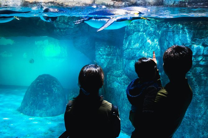 Private Yokohama Family Tours With Local Guides 100% Personalized - Immerse in Japanese Culture and Traditions