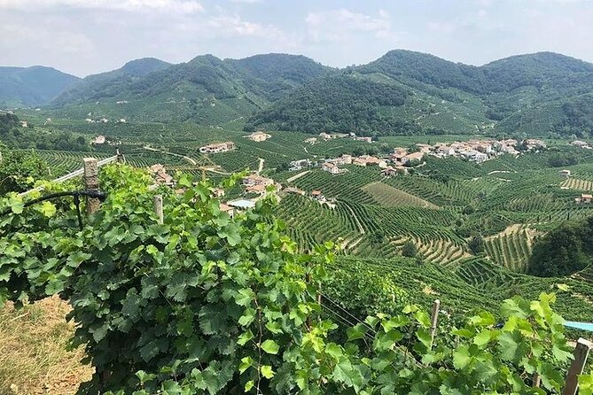 Prosecco Tasting and Lunch on the Hills. Private Tour From Venice - Scenic Transportation
