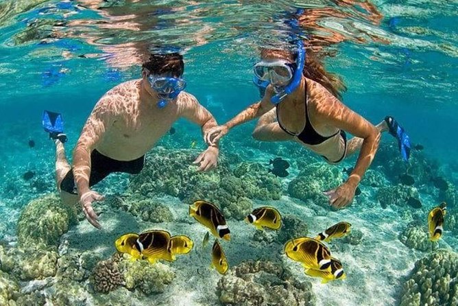 Punta Cana Combo: Diving, Parasailing, Snorkeling & Party Boat (Half Day) - Meeting and Pickup Details