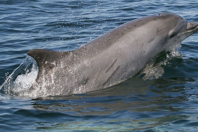 Punta Gorda Private Charter - Inclusions and Pricing
