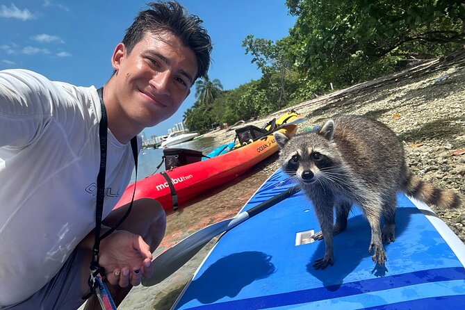 Raccoon Island Exploration on Sup/Kayak - Exploring the Scenic Mangrove Trails