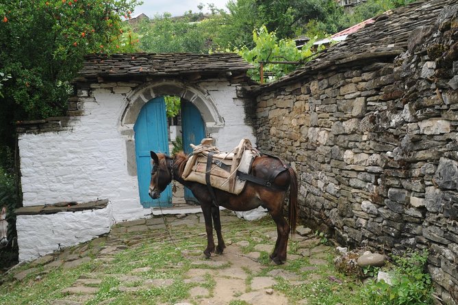 Rafting at Vjosa River and Hiking in South Albania in a 2 Day Tour - Rafting Adventure Details