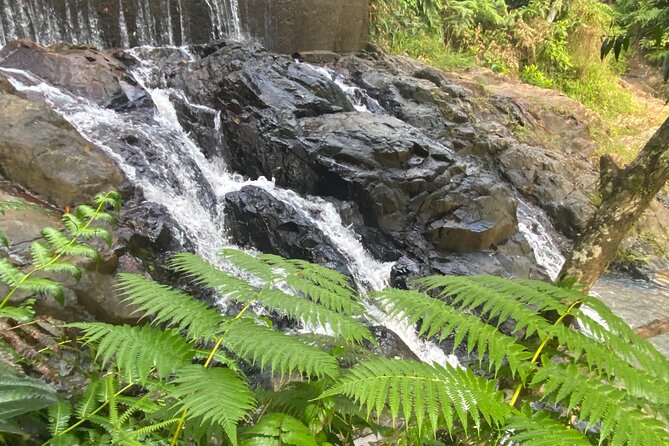 Rain Forest and Hot Springs Full-Day Private Tour San Juan - Unique Sites Visited