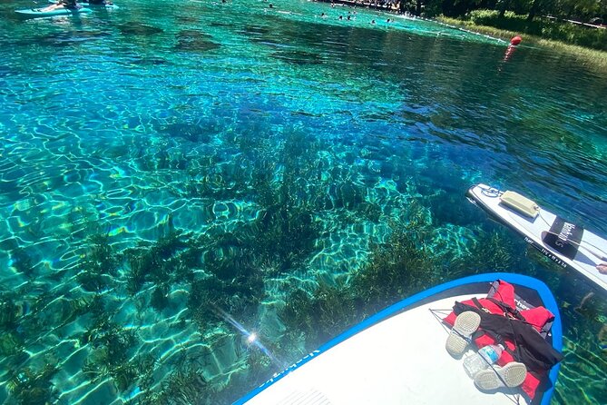 Rainbow Springs Electric Paddle Tour - Meeting Point and Park Access