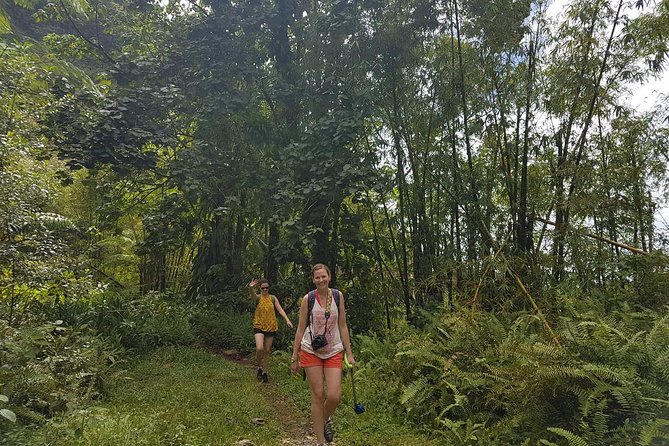 Rainforest Bathing Tour - Health and Safety Guidelines