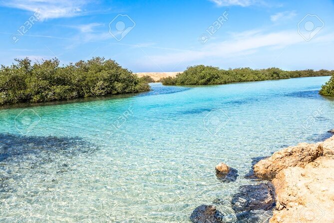 Ras Mohamed National Park Half Day by Bus - Sharm El Sheikh - Inclusions of the Experience