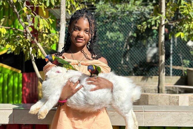 Rastafari Cultural Experience With Herb Garden & Animal Farm Tour - The Herb Garden Oasis