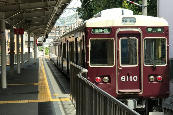 Real-Life Anime Location Visiting in Osaka Private Guided Tour - Meeting and Pickup