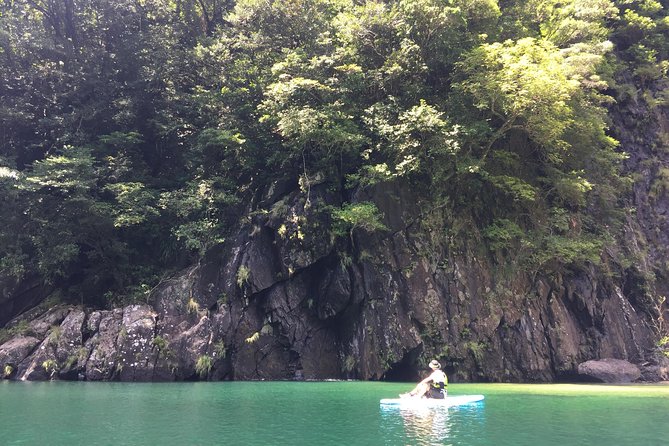 [Recommended on Arrival Date or Before Leaving! ] Relaxing and Relaxing Water Walk Awakawa River SUP [Half-Day Tour] - Inclusions