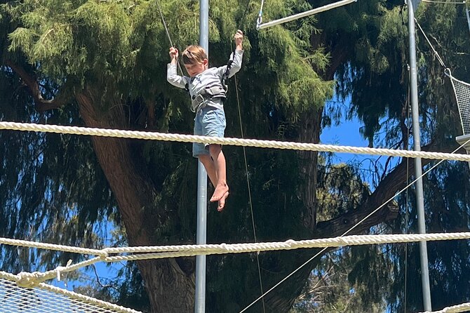 Recreational Flying Trapeze Classes Review