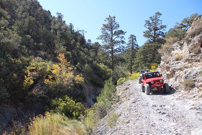 Red Rock Canyon Half Day Jeep Tour Review - Inclusions