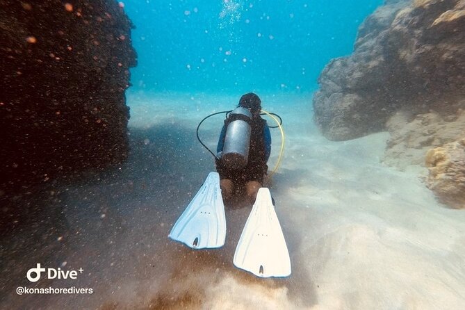 Refresher Scuba Dive - Whats Included in Your Experience