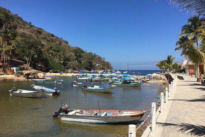 Remote Hidden Beaches of South Shore (Puerto Vallarta) - Unique Experiences Along the Shore