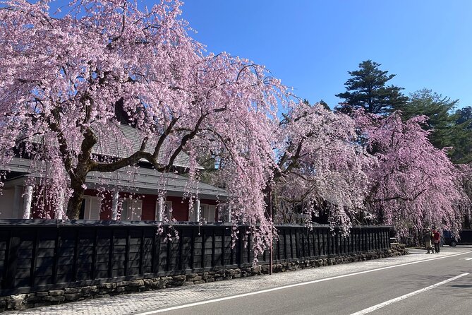 Rental Bicycle With Electric Assist / Satoyama Cycling Tour - Meeting Point and Pickup