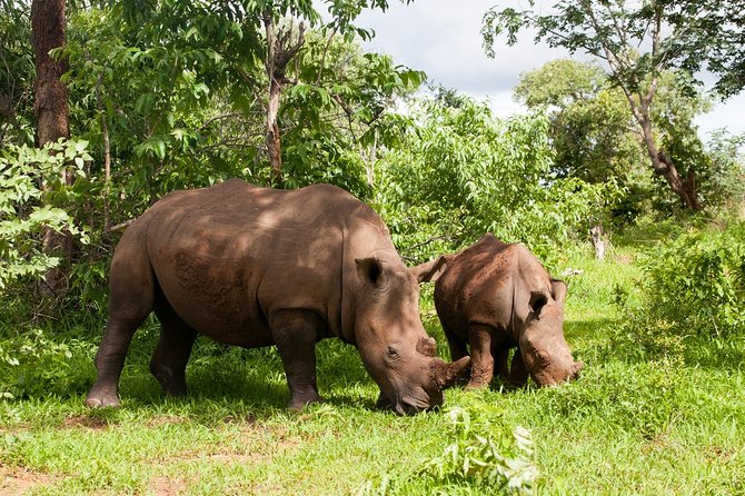 Rhino Walking Safari at Mosi-oa-Tunya National Park - Tour Logistics and Inclusions