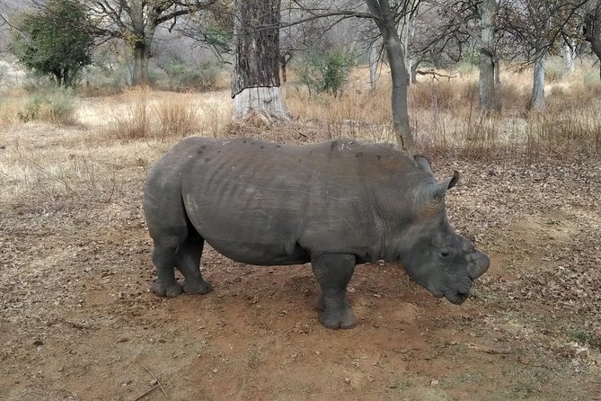 Rietvlei Nature Reserve Half-Day Tour From Pretoria, Every TUESDAY - Included Amenities and Services