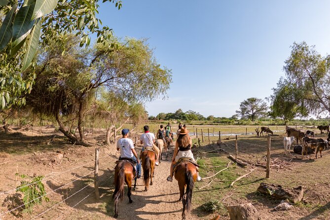 River Trail Horseback Riding Adventure - Transportation and Pickup Details