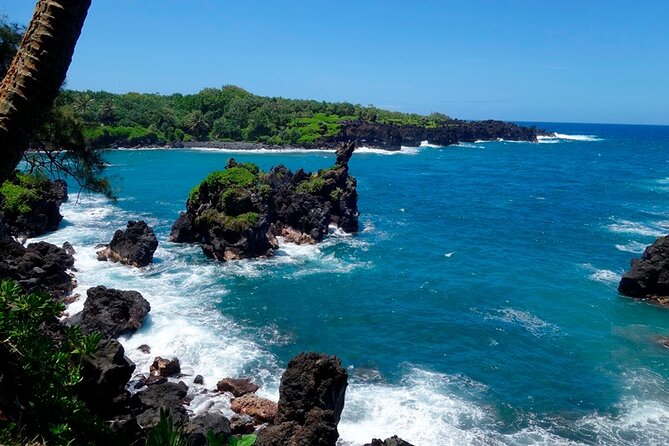 Road to Hana Rainforest, Black Sand Beach, Waterfalls & Lunch - Health and Safety Guidelines