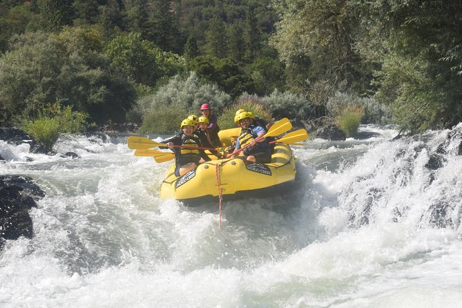 Rogue Valley Rapid Run - A Family-Friendly Adventure