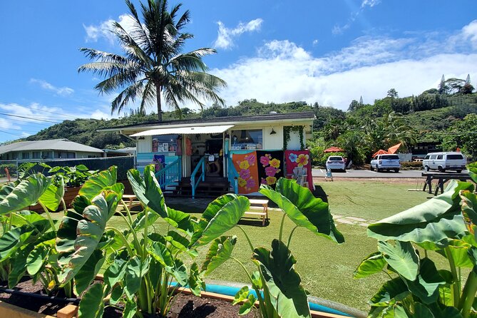 Round Trip North Shore Shuttle From Waikiki to Haleiwa Town / Haleiwa Harbor - Health and Safety Guidelines