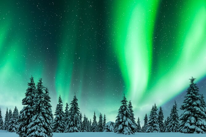 Rovaniemi: Private Aurora Hunting Tour - Pickup Information