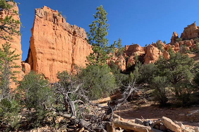 Rubys Horseback Adventures Utah Half Day Ride - Inclusions and Meeting Details