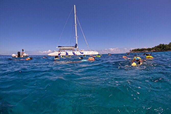 Sailing Catamaran Excursion - What to Expect Onboard