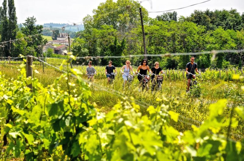 Saint-Émilion E-Bike Tour: Lunch, 2 Tastings & Transfers - Itinerary Details