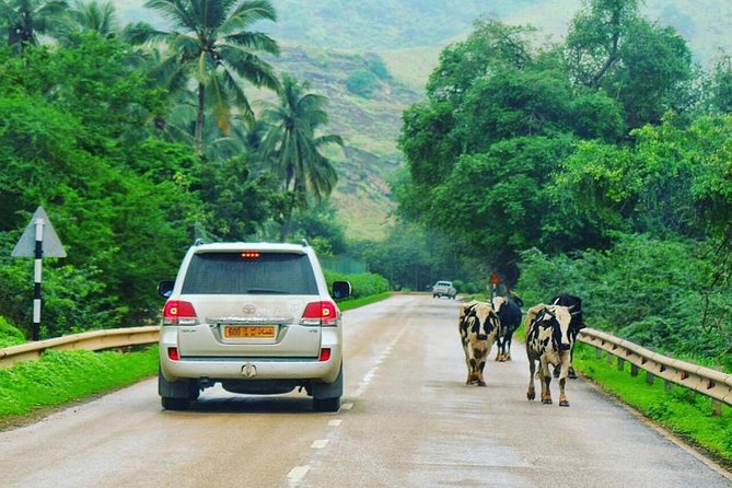 Salalah Mountain Safari Tour 2(Full Day Tour) - Pickup Information