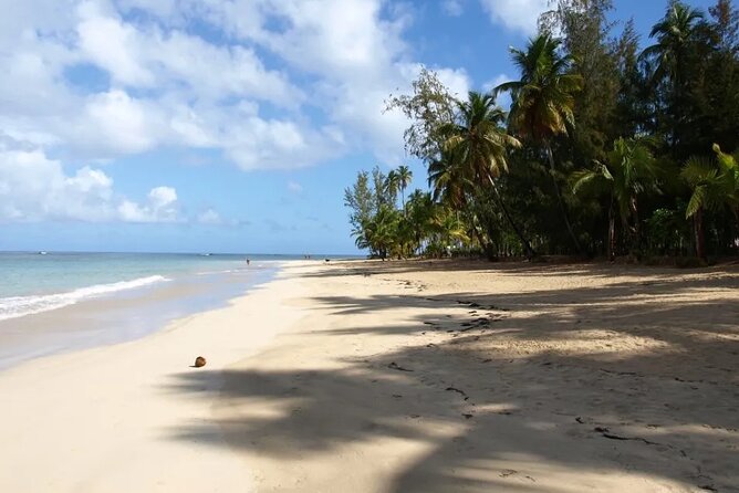 Samana Adventure to Playa Rincon & Cayo Levantado - Inclusions and Amenities