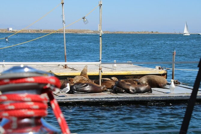 San Diego Private Morning Sail up to 12 Guests - Inclusions