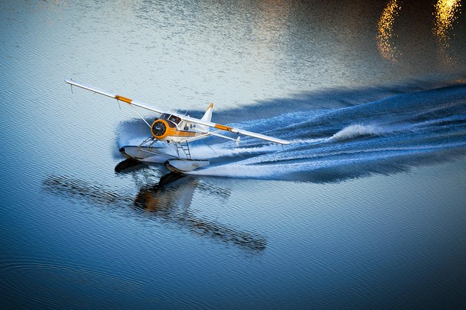 San Francisco 1-Hour Seaplane Tour With Shuttle Transport - Details of the Seaplane Flight