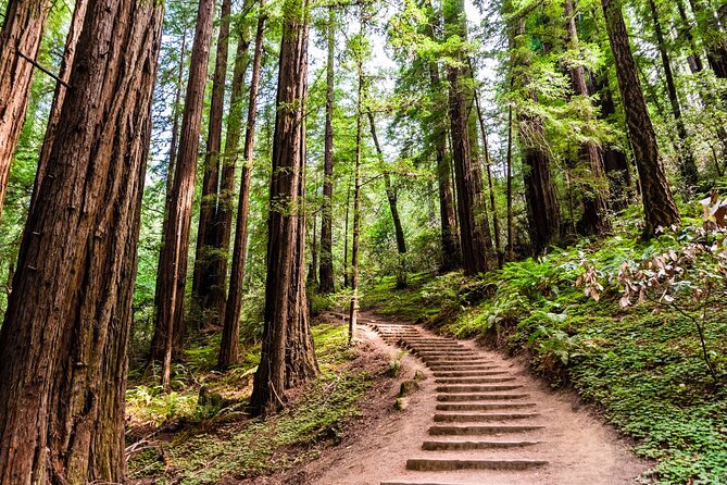 San Francisco, Golden Gate, Sausalito and Muir Woods Private Tour - Pickup and Accessibility
