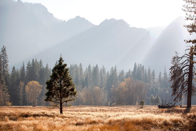 San Francisco: Yosemite National Park and Giant Sequoia Day Tour - Capturing the Breathtaking Tunnel View