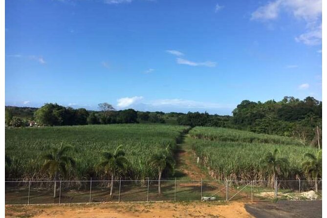 San Juan Artisan Distillers VIP Tour & Rum Tasting - Inclusions