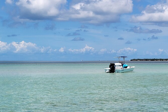 Sandbar Adventure Review: A Key West Experience - Meeting and Pickup Details