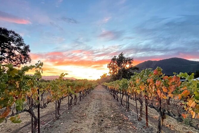 Santa Barbara Wine Country Vineyard & Village Tour - Inclusions and Pricing