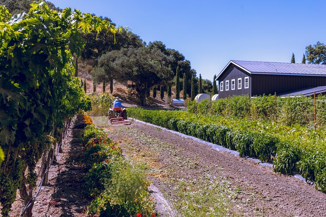 Santa Ynez Wine Tour Includes Tastings, Lunch From Santa Barbara - Winery Experiences